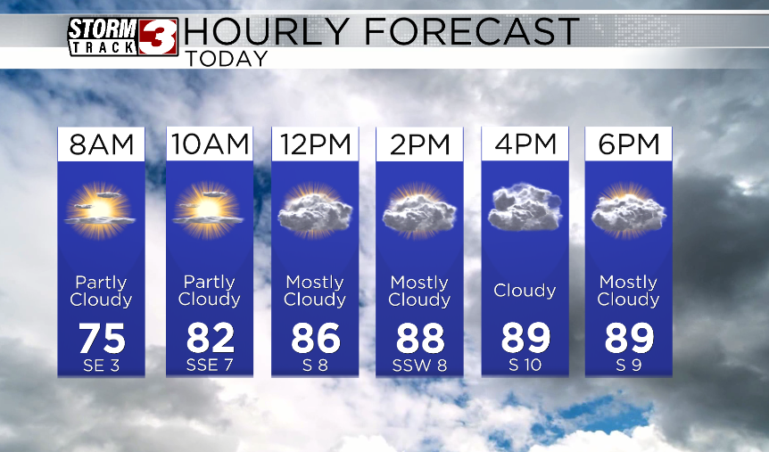 Hourly Forecast
